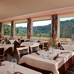 Hotel De La Grande Cascade Le Tholy