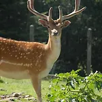 Hotel De La Grande Cascade