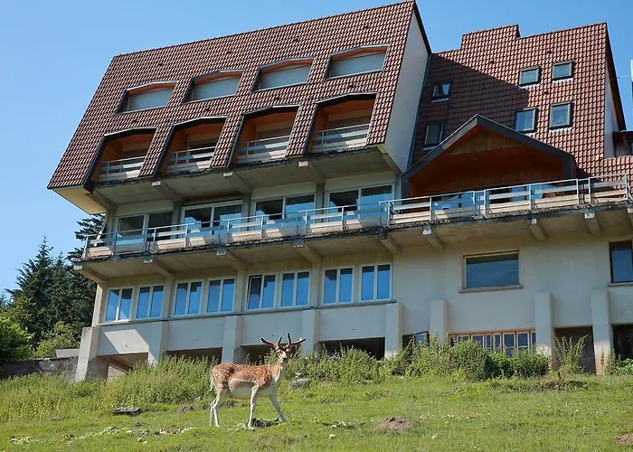 Otel De La Grande Cascade